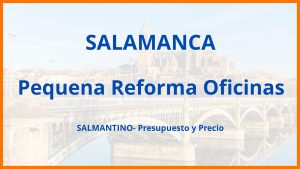 Pequena Reforma Oficinas en Salamanca