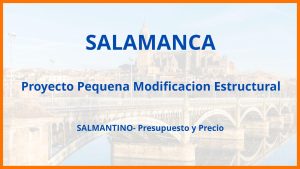 Proyecto Pequena Modificacion Estructural en Salamanca